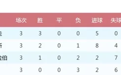 201812强赛中国队积分榜(小组赛积分榜)