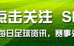 新泻与新潟(水谷隼11比0是哪一场)