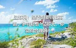 进球网：桑乔想要回归英超，多特标价1亿欧元，你觉得合理吗？