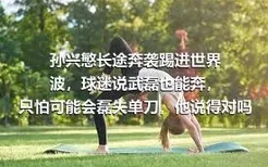 孙兴慜长途奔袭踢进世界波，球迷说武磊也能奔，只怕可能会磊失单刀，他说得对吗？