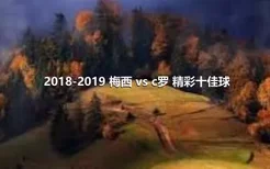 2018-2019 梅西 vs c罗 精彩十佳球