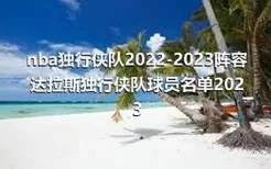 nba独行侠队2022-2023阵容 达拉斯独行侠队球员名单2023