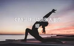 CBA篮球运动员张大宇介绍