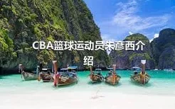 CBA篮球运动员朱彦西介绍