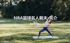 NBA篮球名人戴夫·宾介绍