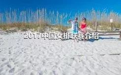 2017中国女排联赛介绍