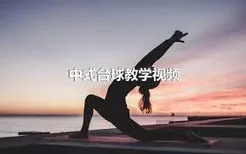 中式台球教学视频