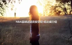 NBA篮球运动员安芬尼·哈达威介绍