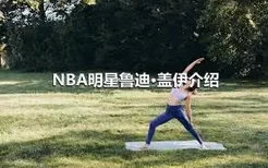 NBA明星鲁迪·盖伊介绍