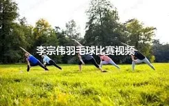 李宗伟羽毛球比赛视频