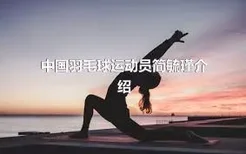 中国羽毛球运动员简毓瑾介绍