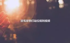 羽毛球单打站位规则视频