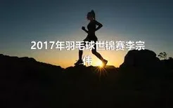 2017年羽毛球世锦赛李宗伟