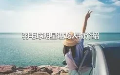 羽毛球明星谌龙人物介绍