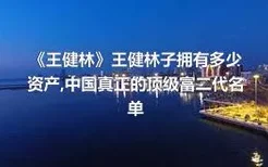 《王健林》王健林子拥有多少资产,中国真正的顶级富二代名单
