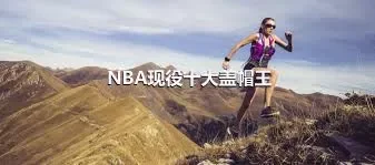 NBA现役十大盖帽王