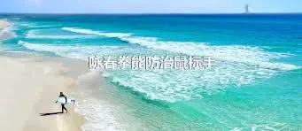 咏春拳能防治鼠标手