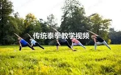 传统泰拳教学视频