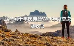 武林风十年庆典暨WLF年度总决赛收官