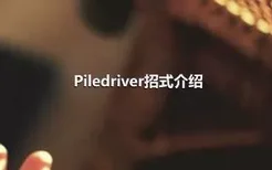 Piledriver招式介绍