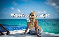 炸弹摔(Power Bomb)的简介