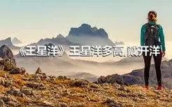 《王星洋》王星洋多高,戴开洋