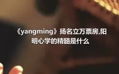 《yangming》扬名立万票房,阳明心学的精髓是什么