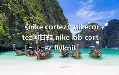 《nike cortez》nikecortez阿甘鞋,nike lab cortez flyknit
